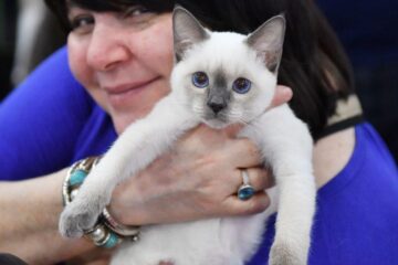 Facturi URIAȘE la veterinar. Soluția la care apelează tot mai mulți români