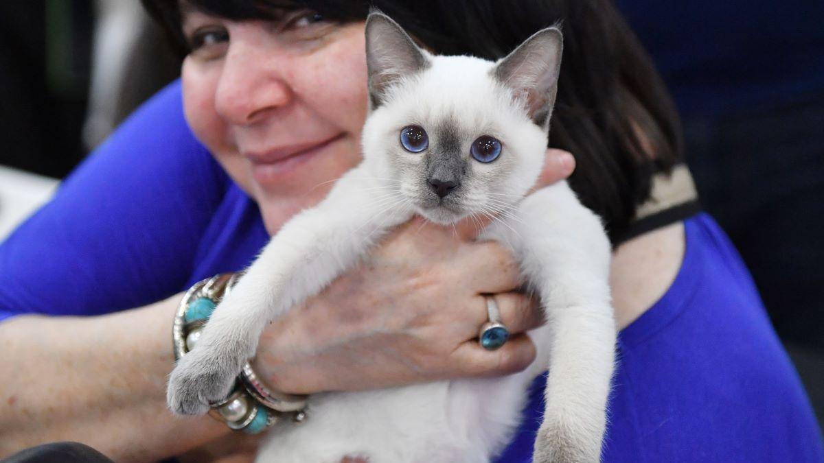 Facturi URIAȘE la veterinar. Soluția la care apelează tot mai mulți români