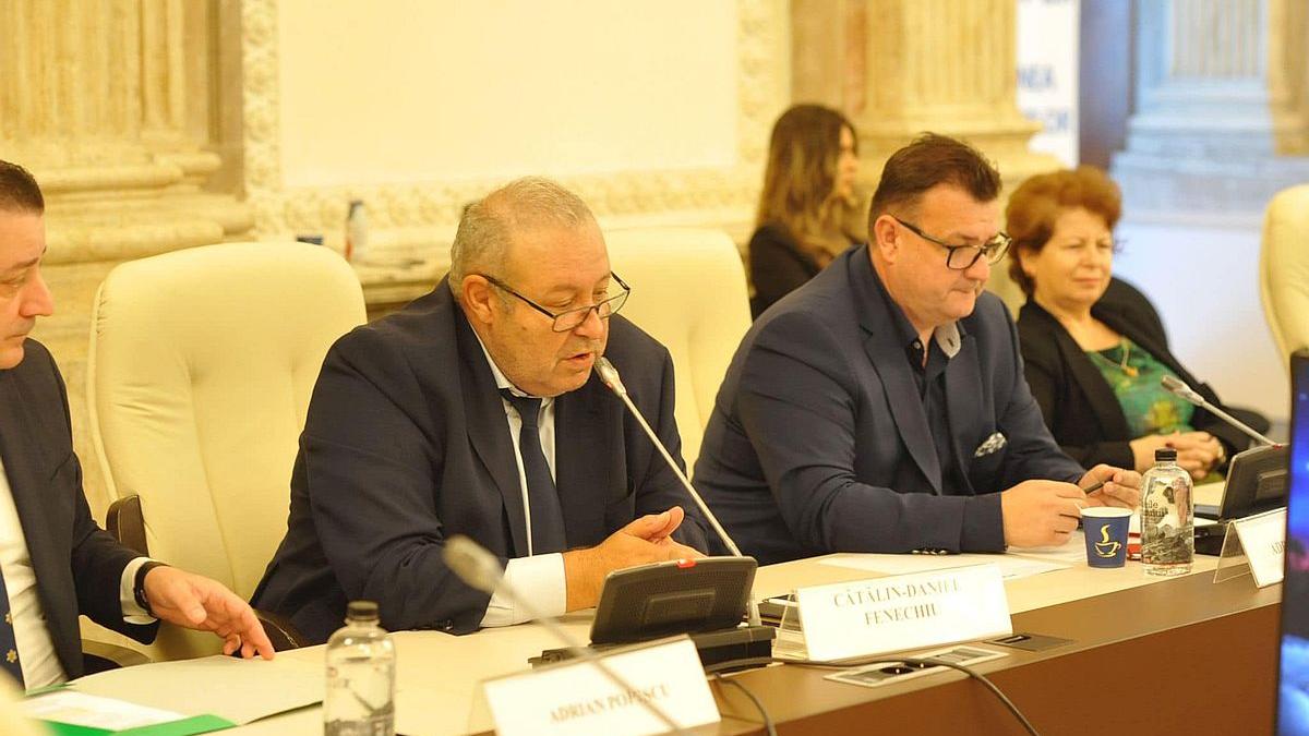 Desemnarea lui Veștea încalcă legea fundamentală
