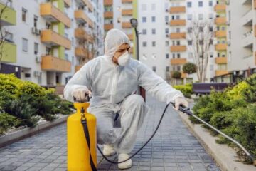 Parisul nu mai este cel mai infestat oraș cu ploșnițe din Europa! Cine conduce topul rușinii