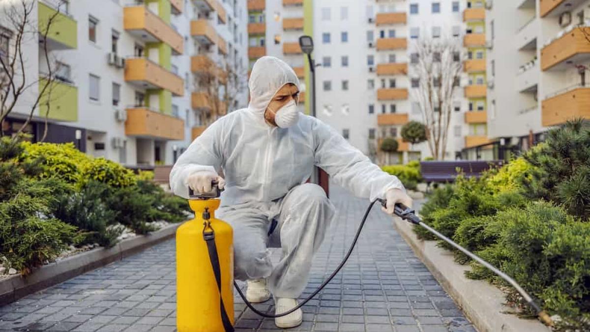Parisul nu mai este cel mai infestat oraș cu ploșnițe din Europa! Cine conduce topul rușinii