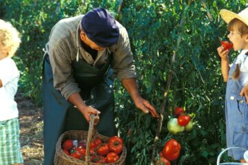 6 trucuri simple care îi ajută pe copii să accepte mai multe legume