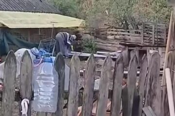 Un bătrân a ucis o pisică. Acum este cercetat penal