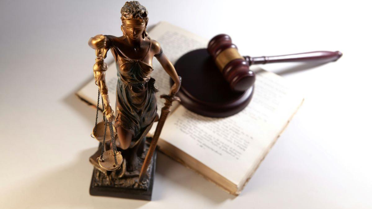 „Justiția condusă de Lia Savonea favorizează albirea infractorilor”