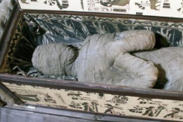 De la Tutankhamon la eBay: Comerțul online cu mumii, un pericol real pentru sănătate