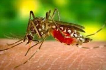 Avertismentul care pune România pe harta țărilor cu infecții periculoase