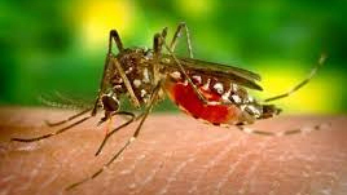 Avertismentul care pune România pe harta țărilor cu infecții periculoase