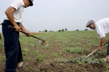 Sute de mii de pensionari primesc mai puțin de 1.000 de lei. Foștii agricultori, printre cei mai afectați