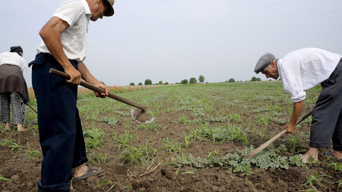 Sute de mii de pensionari primesc mai puțin de 1.000 de lei. Foștii agricultori, printre cei mai afectați