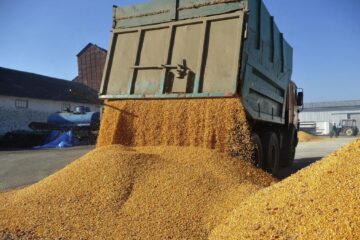 Războiul din Ucraina amenință prețul pâinii. Grâul s-a scumpit cu 5,8%, în iulie 2026