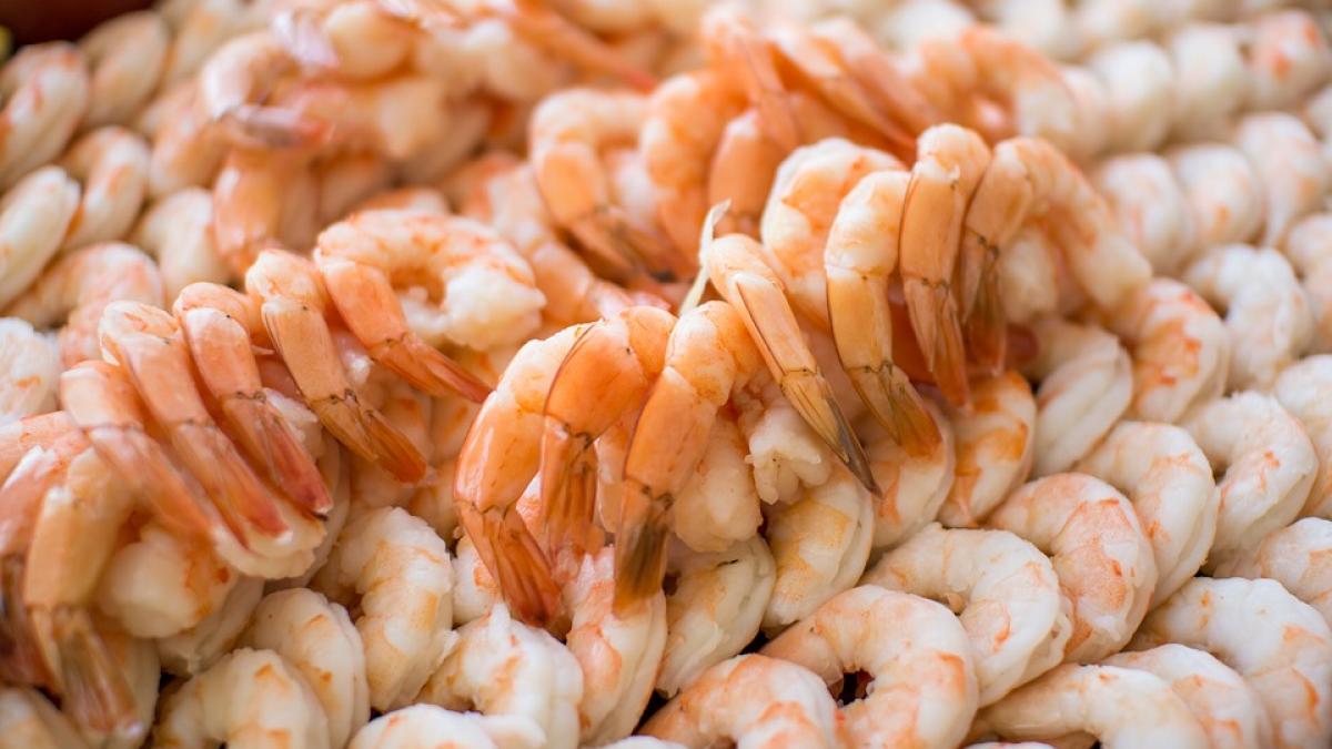 O specie exotică a explodat în Dunăre. Delicatesa din restaurantele din Deltă îngrijorează biologii