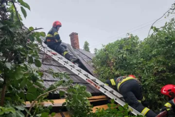 Prăpăd în Suceava: Acoperișuri smulse de vijelie și zeci de arbori puși la pământ