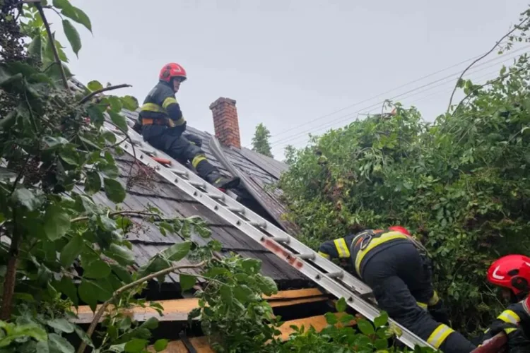 Prăpăd în Suceava: Acoperișuri smulse de vijelie și zeci de arbori puși la pământ