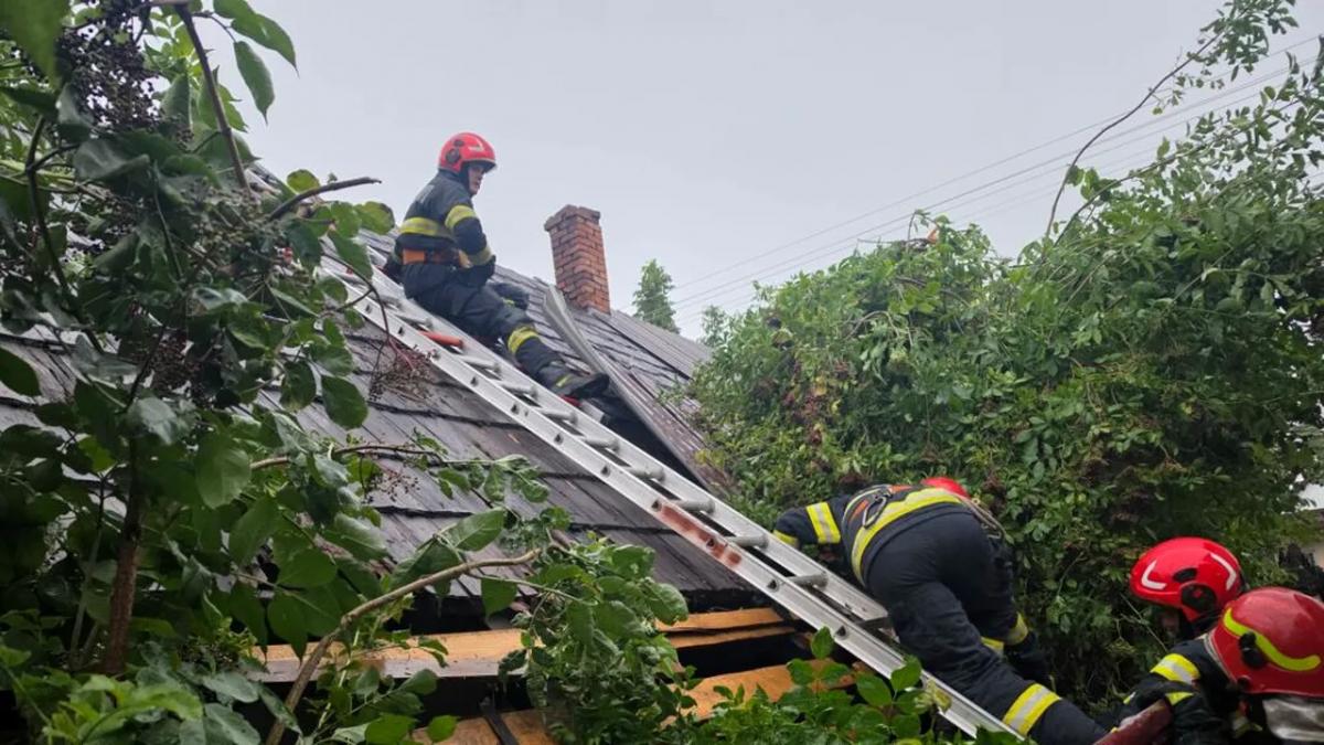 Prăpăd în Suceava: Acoperișuri smulse de vijelie și zeci de arbori puși la pământ