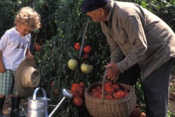 Bunici, bone, șoferi și sponsori. Ce așteaptă copiii adulți de la părinții pensionari