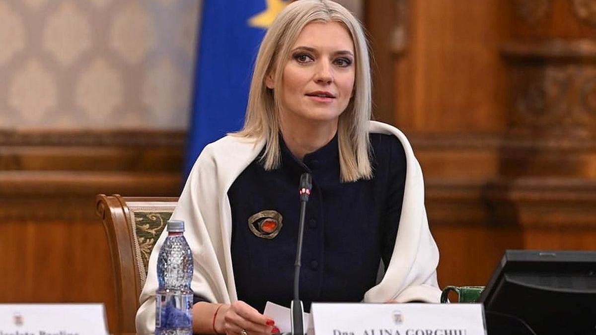 Alina Gorghiu avertizează că noul Cabinet nu are majoritatea în Parlament
