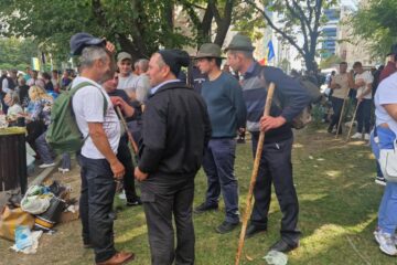 Disperarea ciobanilor. „Ursul îți ia o oaie, două. Guvernul îți ia toată turma”