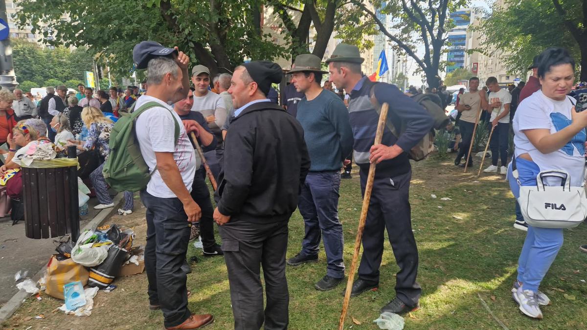 Disperarea ciobanilor. „Ursul îți ia o oaie, două. Guvernul îți ia toată turma”