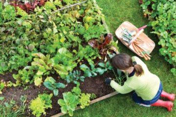 Croșetatul, grădinăritul, olăritul: hobby-urile bunicilor revin în forță