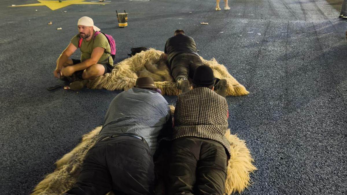 Imagini incredibile în Capitală: Oieri își petrec noaptea sub cerul liber în Piața Victoriei