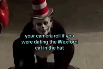 Gluma sinistră care le-a adus unor adolescenți poliția la ușă. Ce este trendul viral „Cat in the Hat”