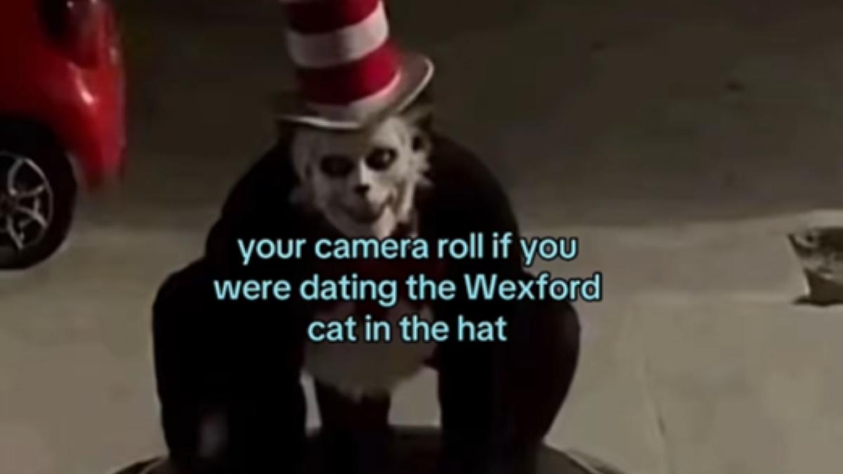Gluma sinistră care le-a adus unor adolescenți poliția la ușă. Ce este trendul viral „Cat in the Hat”