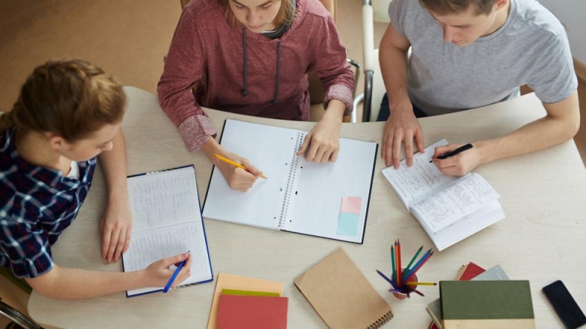 Lecții video gratuite pentru Bacalaureat pentru elevii din toată țara. Când se lasează platforma?