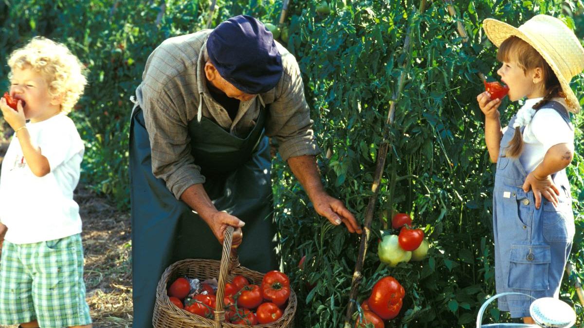 Natura ne-ar putea influența mai mult decât credeam. Legătura surprinzătoare cu alimentația