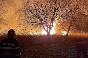 Val de incendii în Timiș: 7 focare au izbucnit în doar 24 de ore. Avertismentul autorităților