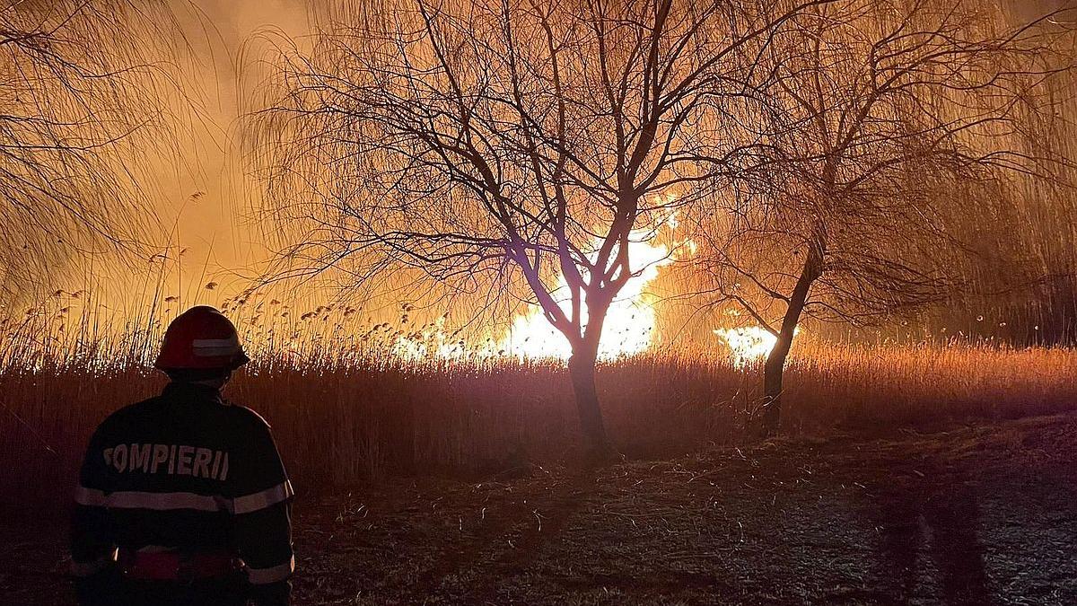 Val de incendii în Timiș: 7 focare au izbucnit în doar 24 de ore. Avertismentul autorităților